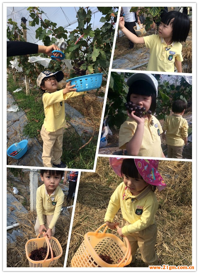 揭陽一品偉才幼兒園親子秋游活動(dòng)