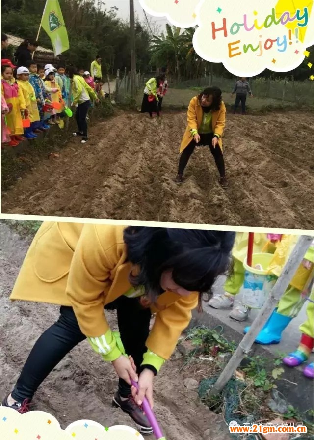 廣西東興市偉才幼兒園“種花生”社會大課堂活動