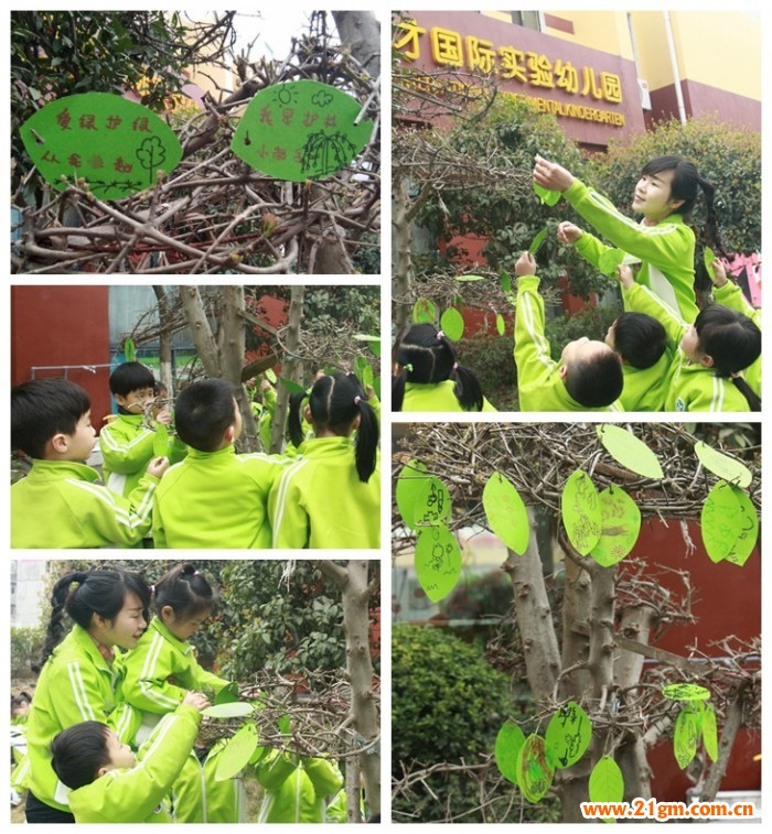 添一點(diǎn)新綠，溫馨又美好——湖北仙桃和合偉才幼兒園植樹節(jié)活動(dòng)