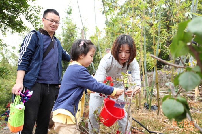 廣西南寧美泉偉才幼兒園開展植樹節(jié)公益活動(dòng)