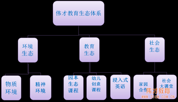 偉才教育生態(tài)體系