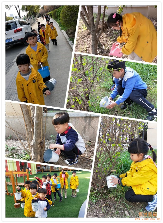 湖北武漢水岸星城偉才國際幼兒園：植一顆種子，育一顆大樹