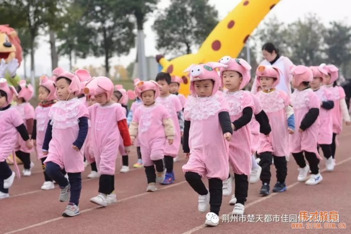 湖北荊州楚天都市佳園偉才幼兒園：森林運動會