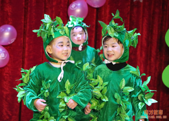 湖北仙桃和合偉才幼兒園：“迎新年，我又長大了一歲”成長見證會