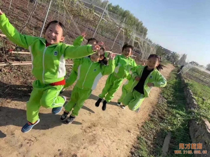 平頂山藍灣翠園偉才幼兒園生態(tài)大課堂：耕道田園，探索秋天的奧秘