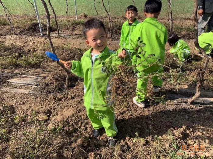 平頂山藍灣翠園偉才幼兒園生態(tài)大課堂：耕道田園，探索秋天的奧秘