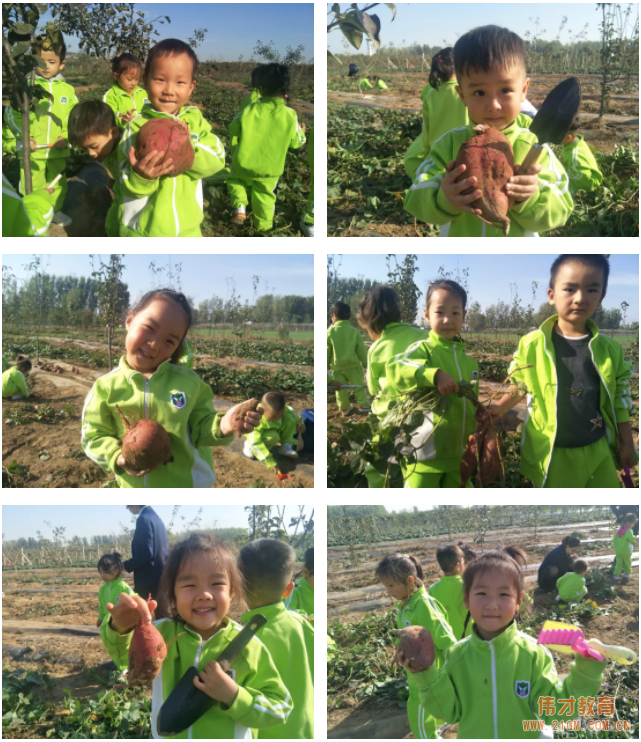 平頂山藍灣翠園偉才幼兒園生態(tài)大課堂：耕道田園，探索秋天的奧秘