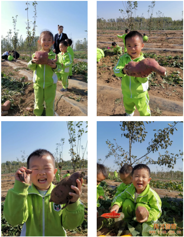 平頂山藍灣翠園偉才幼兒園生態(tài)大課堂：耕道田園，探索秋天的奧秘