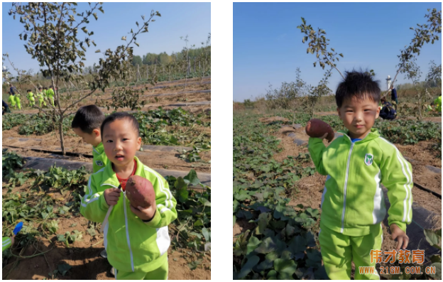 平頂山藍灣翠園偉才幼兒園生態(tài)大課堂：耕道田園，探索秋天的奧秘