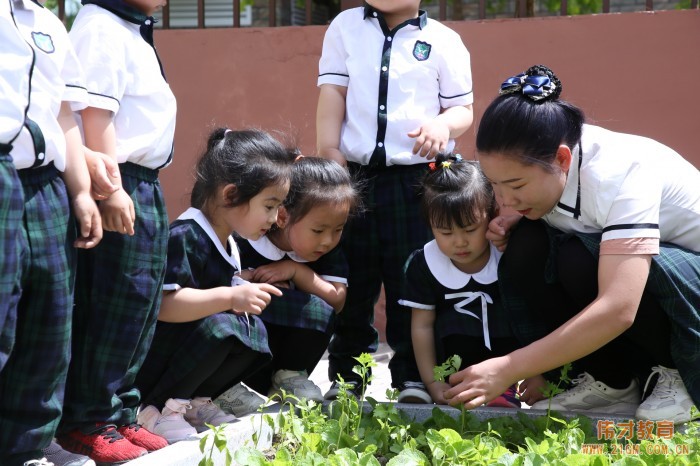 托兒所、幼兒園建筑設計規(guī)范重要條文解讀