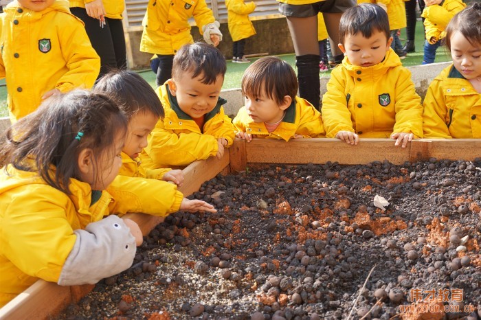 如何向新入園的家長反饋孩子一日活動信息？