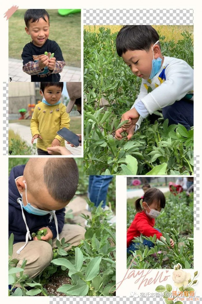 開園僅一年，江蘇省宿遷市翰林閣偉才幼兒園實現(xiàn)滿園！