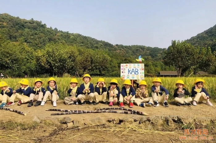 浙江杭州西溪偉才幼兒園：再見，森林小時光