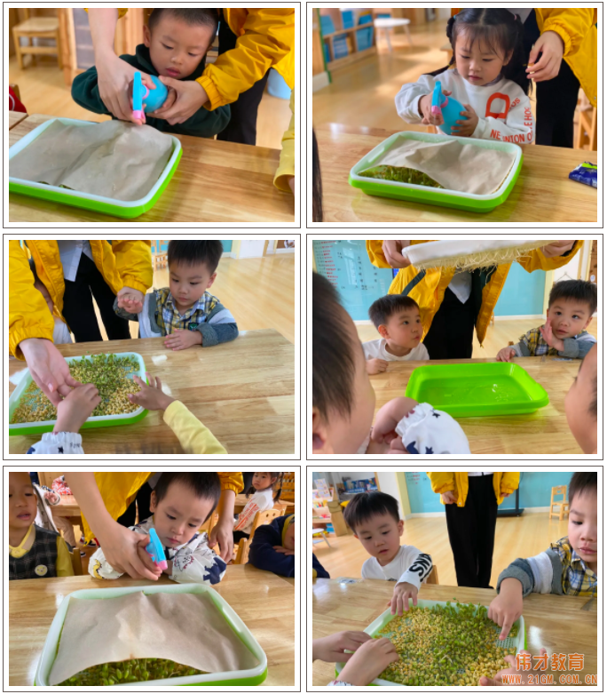 偉才生態(tài)課程：秋收冬藏，生根發(fā)芽丨廣東普寧市偉才幼兒園