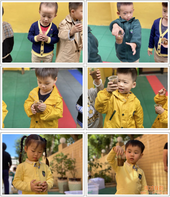 偉才生態(tài)課程：秋收冬藏，生根發(fā)芽丨廣東普寧市偉才幼兒園