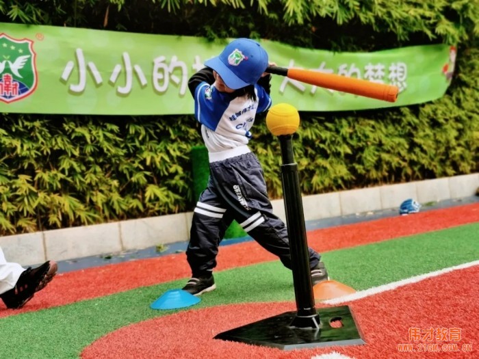 小小的棒球 大大的夢想丨廣東佛山南海桂城偉才幼兒園