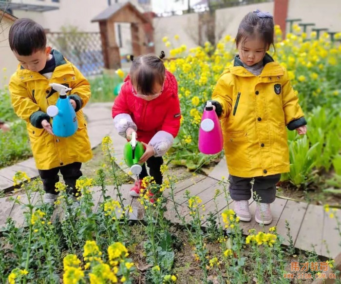 春風(fēng)十里，正“植”有你——江蘇蘇州雀梅偉才幼兒園植樹節(jié)活動