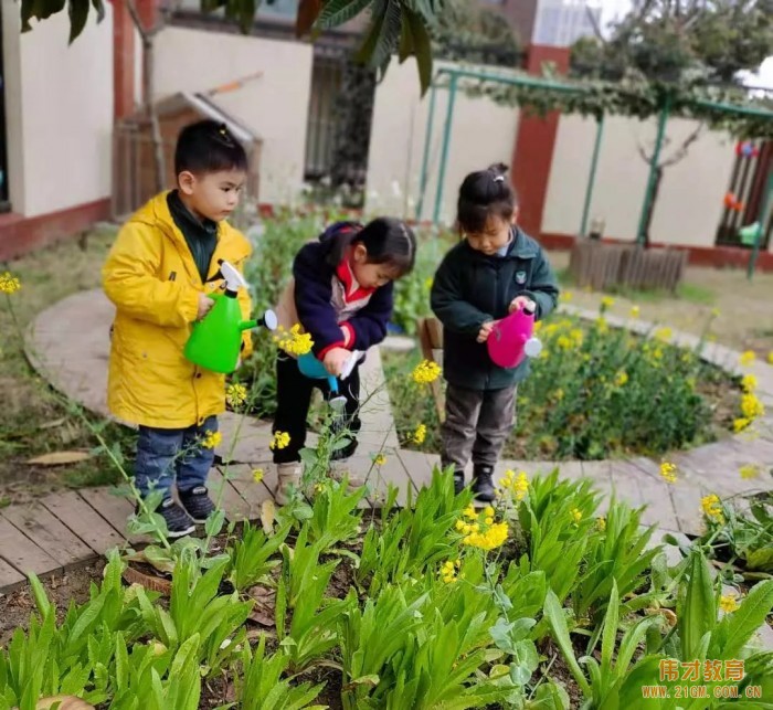 春風(fēng)十里，正“植”有你——江蘇蘇州雀梅偉才幼兒園植樹節(jié)活動