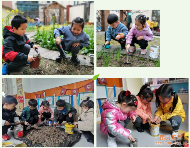 春風(fēng)十里，正“植”有你——江蘇蘇州雀梅偉才幼兒園植樹節(jié)活動