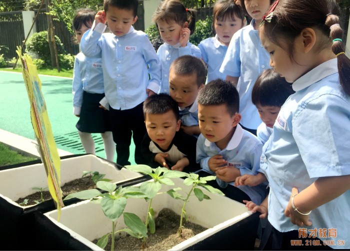 以愛(ài)做教育，用心伴成長(zhǎng)——厚永幼兒園走進(jìn)廣西欽州靈山縣！