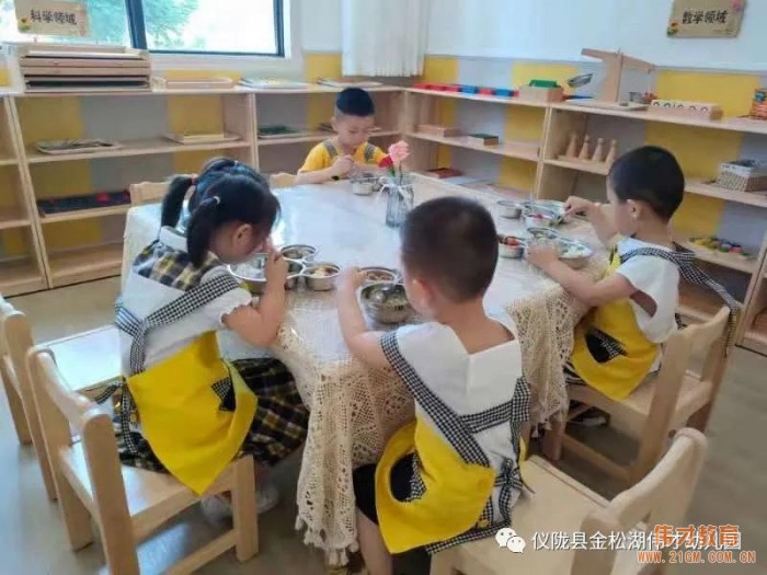 偉才園所丨“暑”你精彩，四川儀隴金松湖偉才幼兒園快樂暑假班