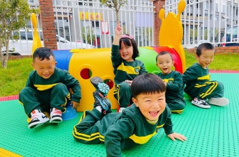 偉才幼兒園區(qū)域代理加盟，做偉才城市合伙人！