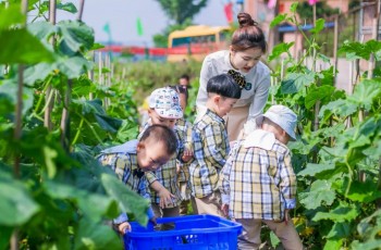 2022年，民辦園抬頭看天